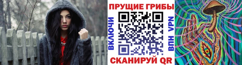 купить наркотики цена  Игарка  Псилоцибиновые грибы GOLDEN TEACHER 